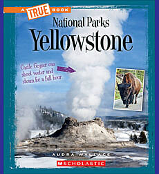 Yellowstone (A True Book: National Parks)