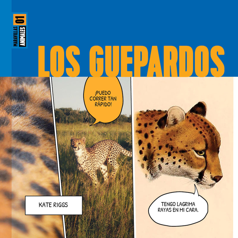 Los guepardos