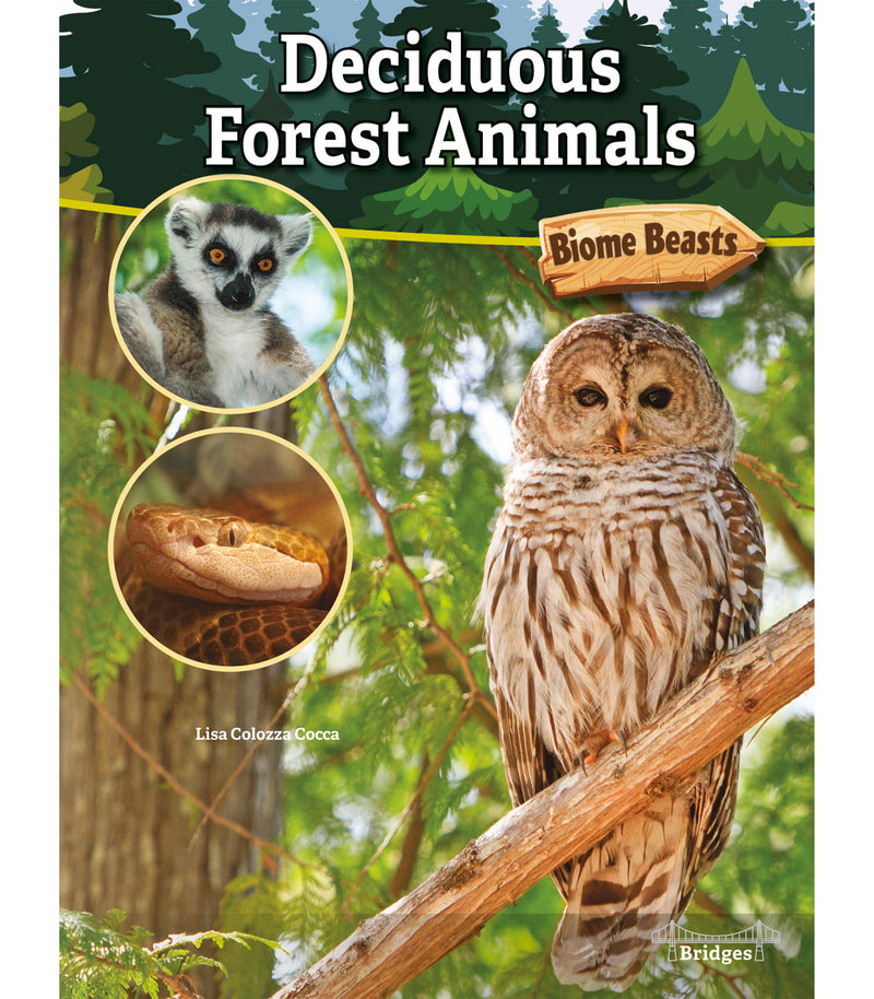 Deciduous Forest Animals