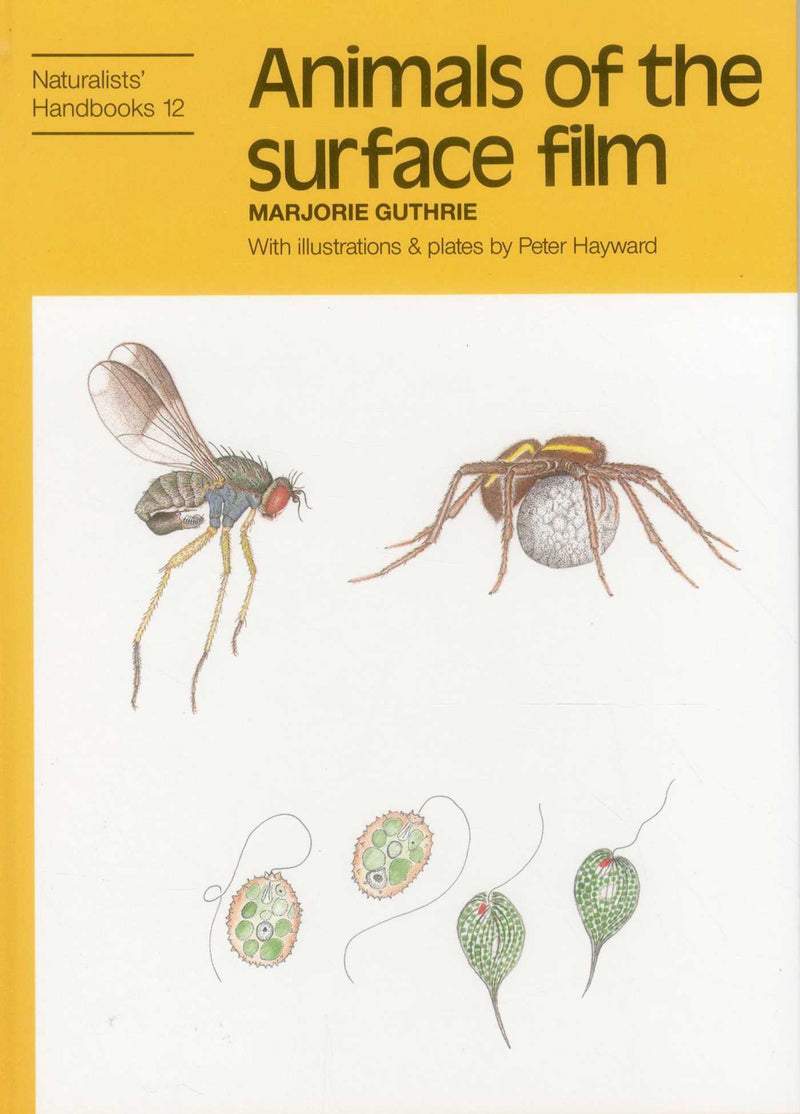 Animals of the Surface Film