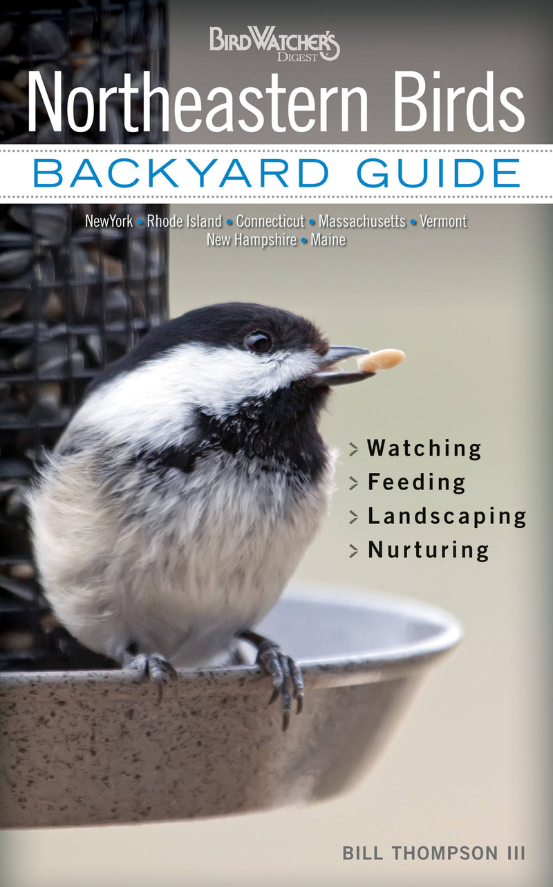 Northeastern Birds