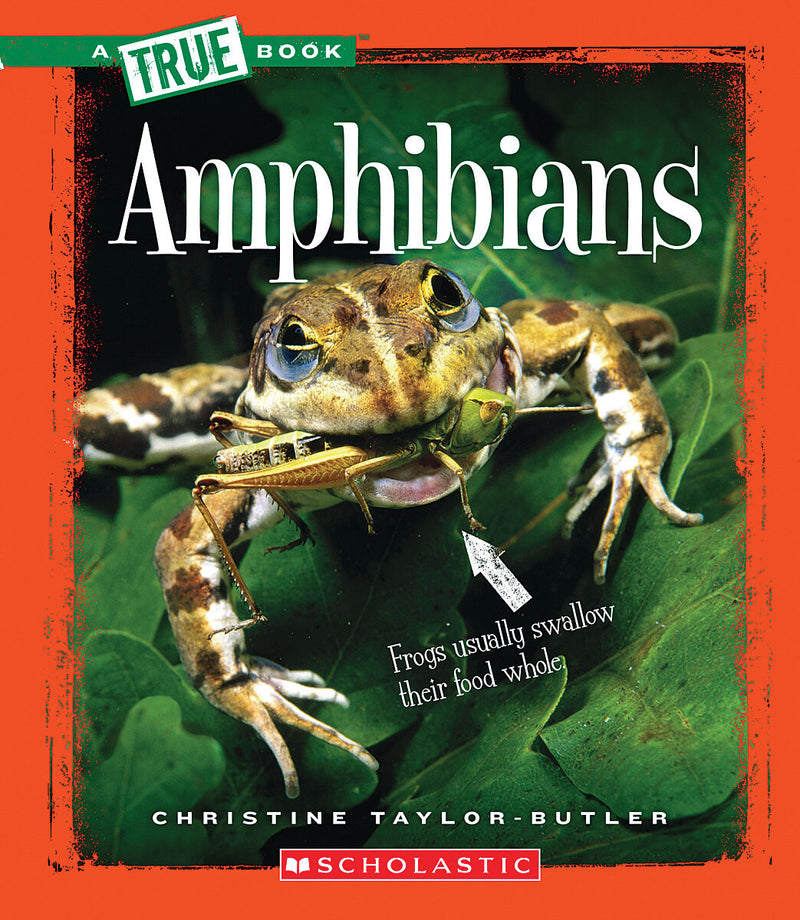 Amphibians (A True Book: Animal Kingdom) (Library Edition)