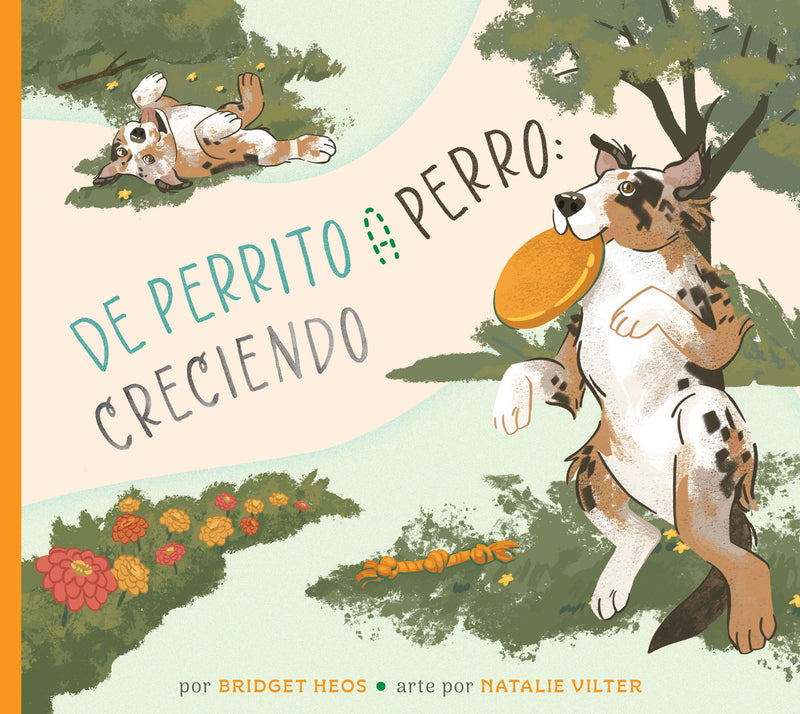 Del cachorro al perro: creciendo