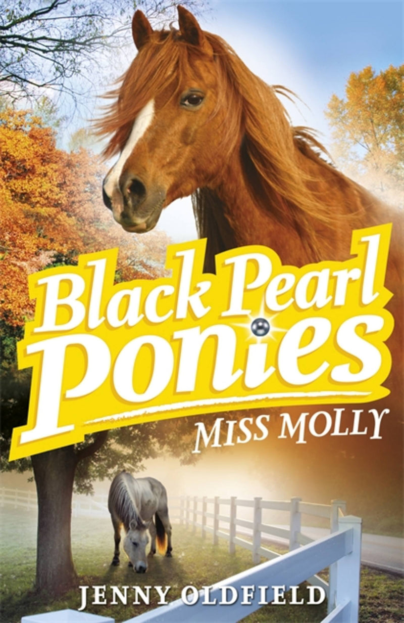 Black Pearl Ponies 03