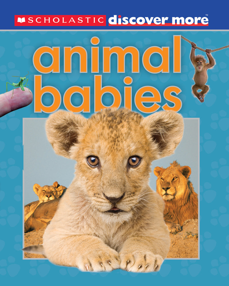 Scholastic Discover More: Animal Babies