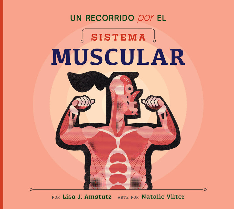 Un recorrido por el sistema muscular