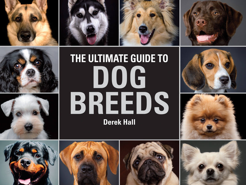 The Ultimate Guide To Dog Breeds