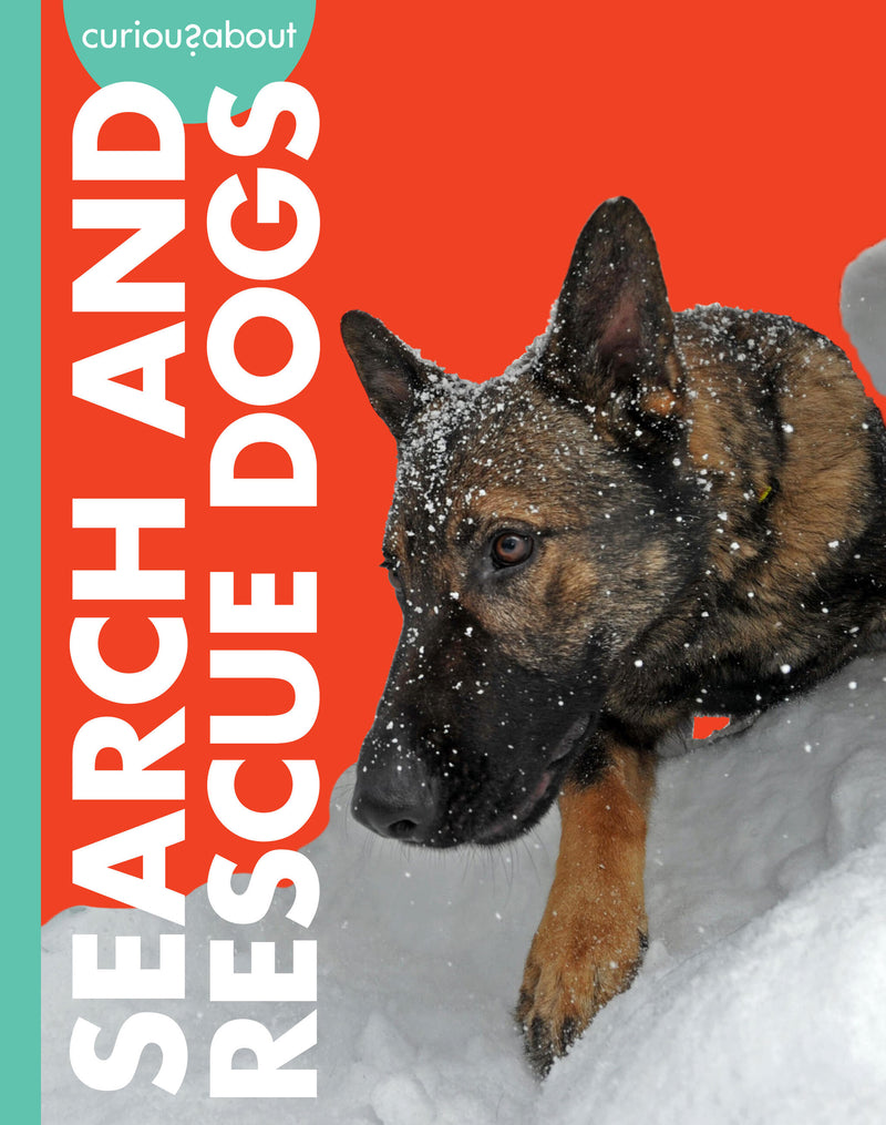 Curious about Search and Rescue Dogs