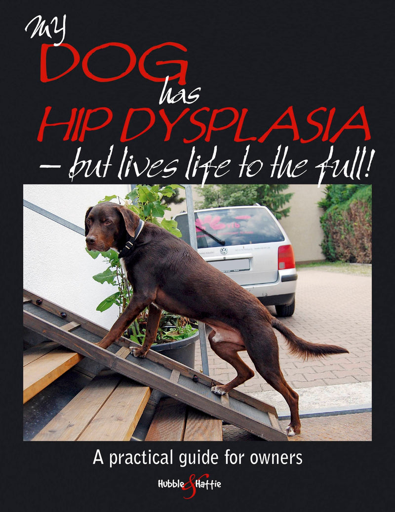 My Dog Has Hip Dysplasia