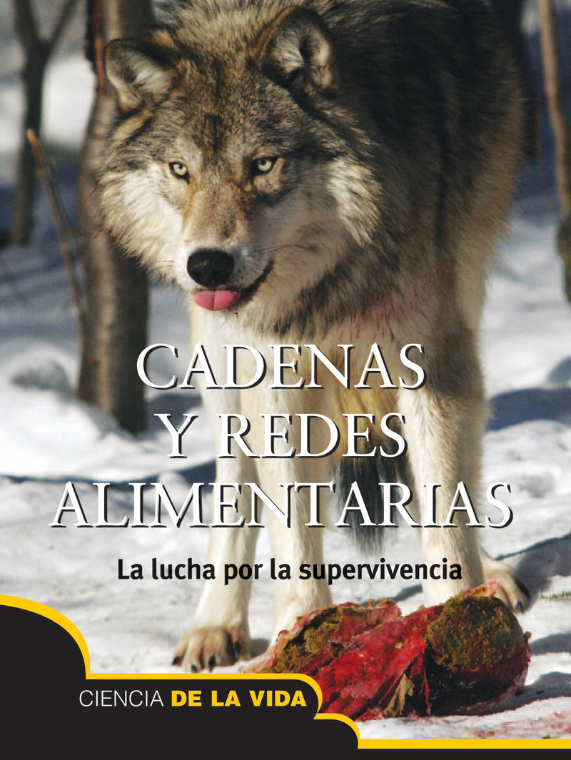 Cadenas y redes alimentarias: Food Chains and Webs