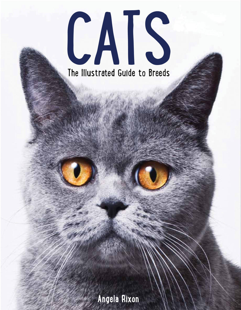 Cats