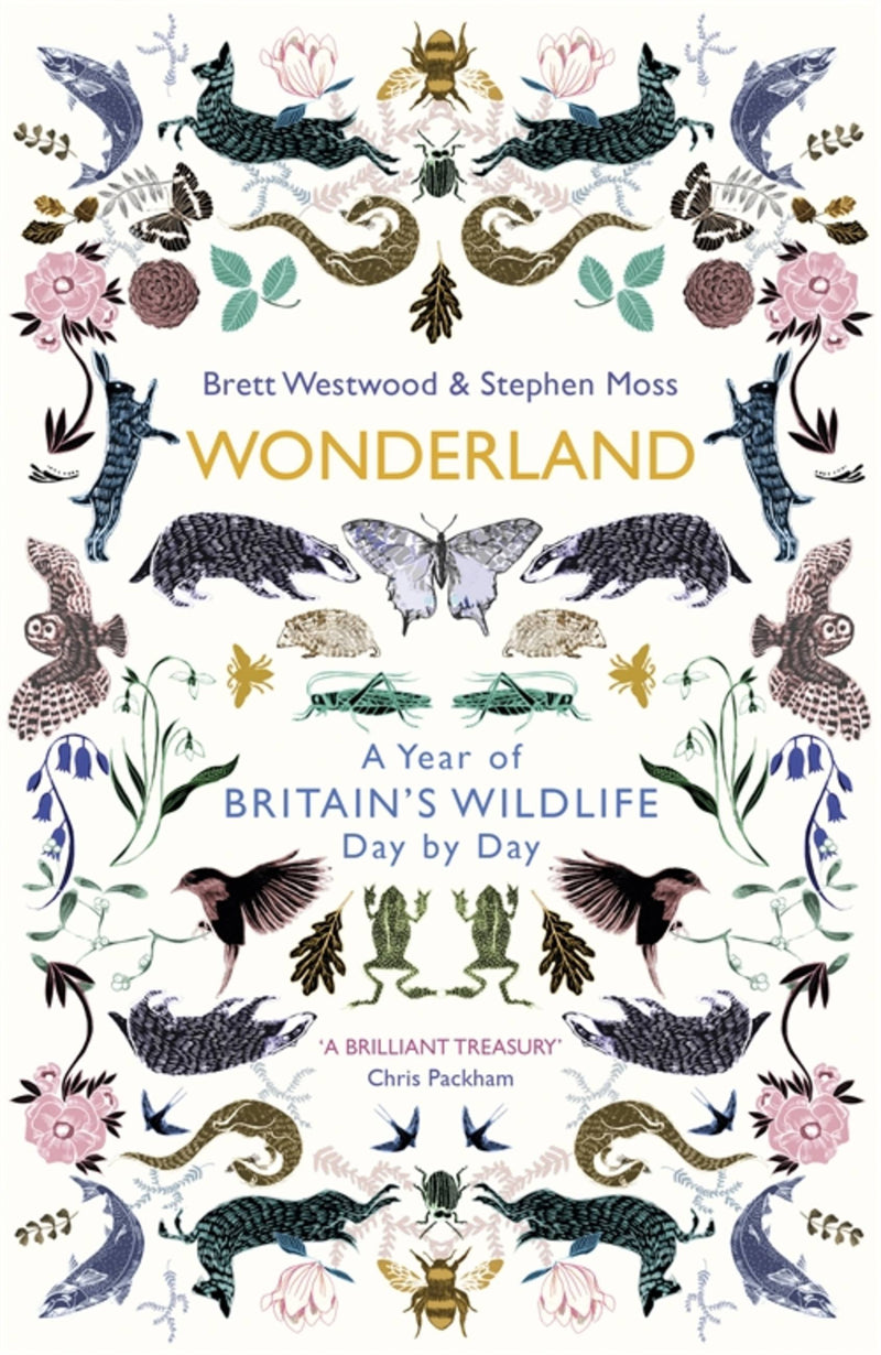 Wonderland