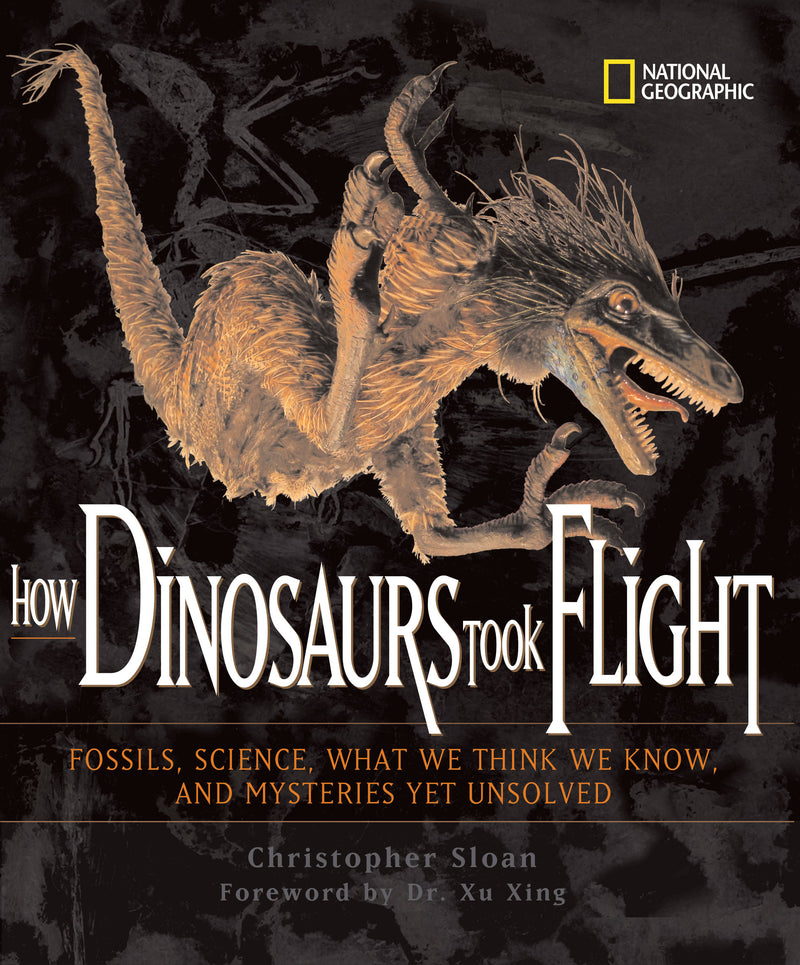 How Dinosaurs Took Flight (Direct Mail Edition)