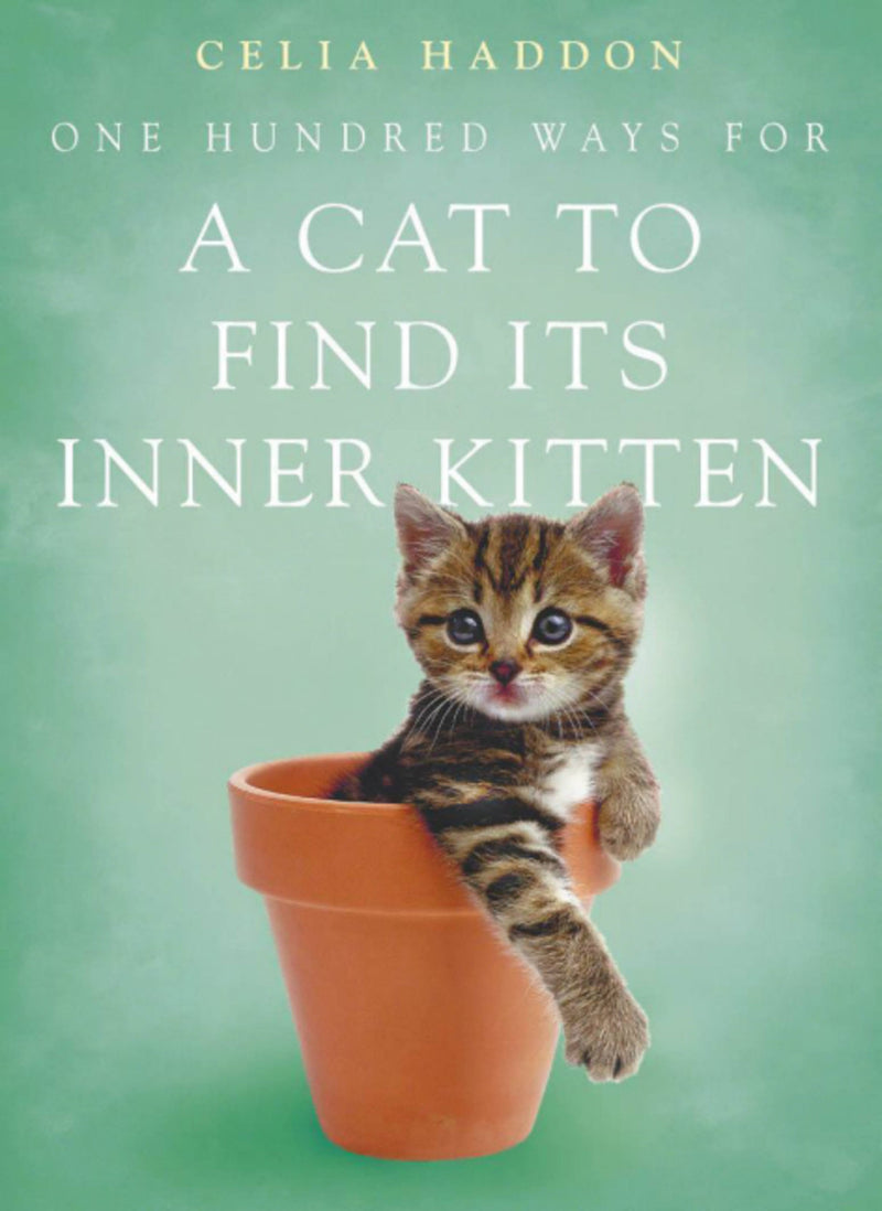 One Hundred Ways for a Cat to Find its Inner Kitten