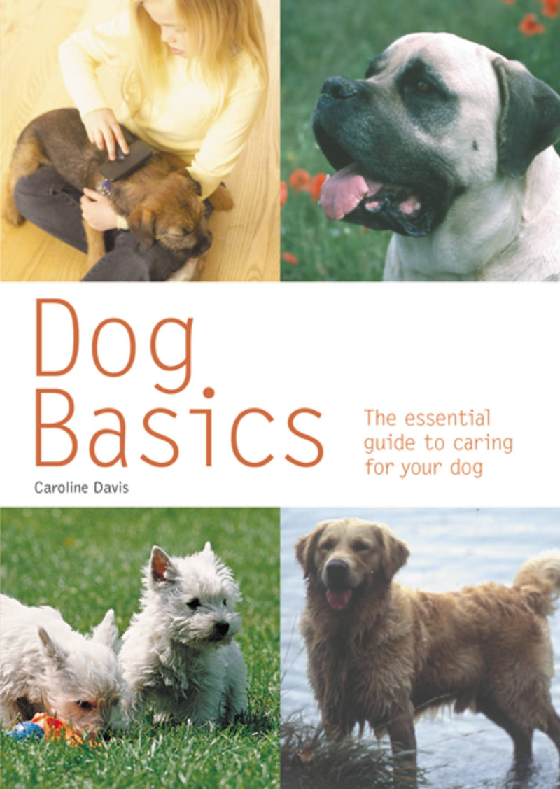 Dog Basics