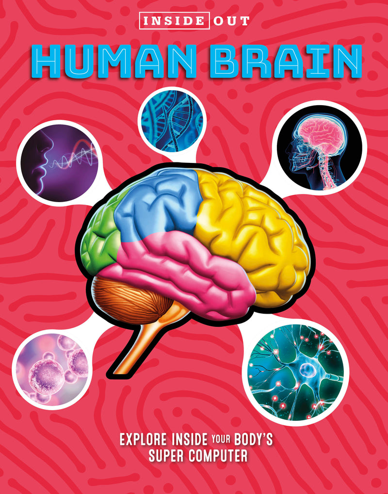 Inside Out Human Brain