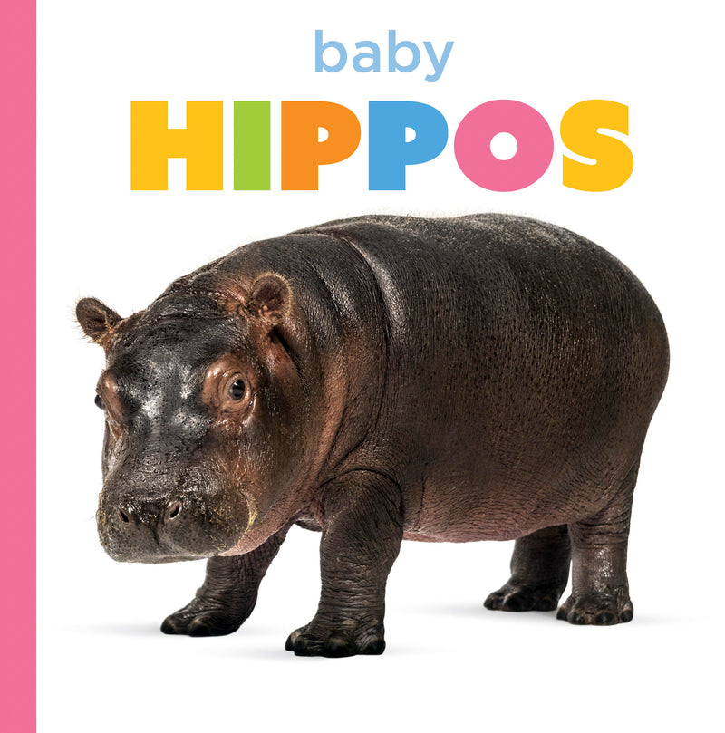Baby Hippos