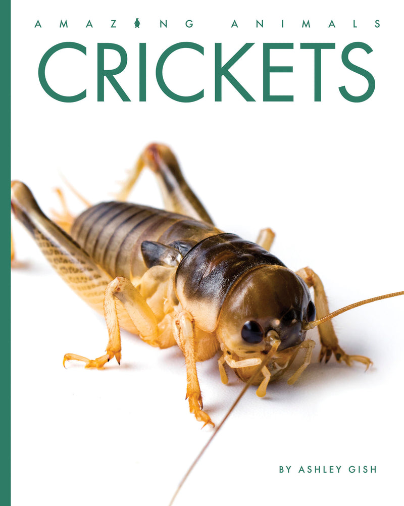 Crickets