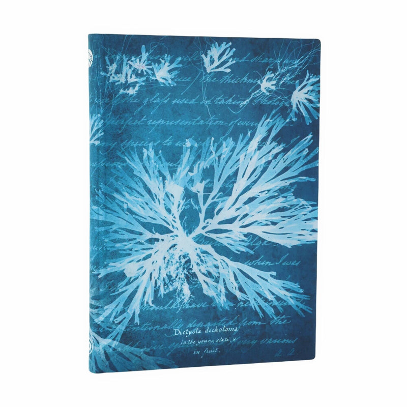 Sea Flowers Midi Unlined Softcover Journal, 176pg, 100GSM, Treasures of The New York Public Library by Paperblanks (Anna Atkins' Cyanotypes)