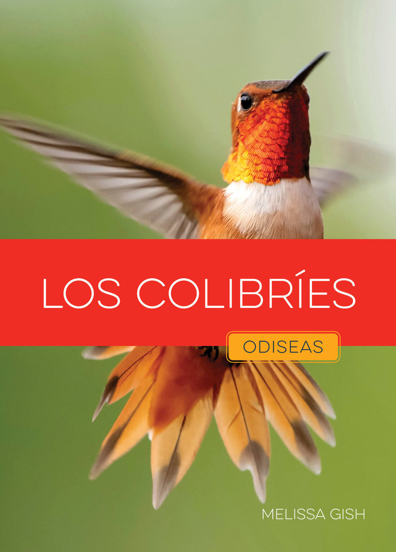 Los colibríes