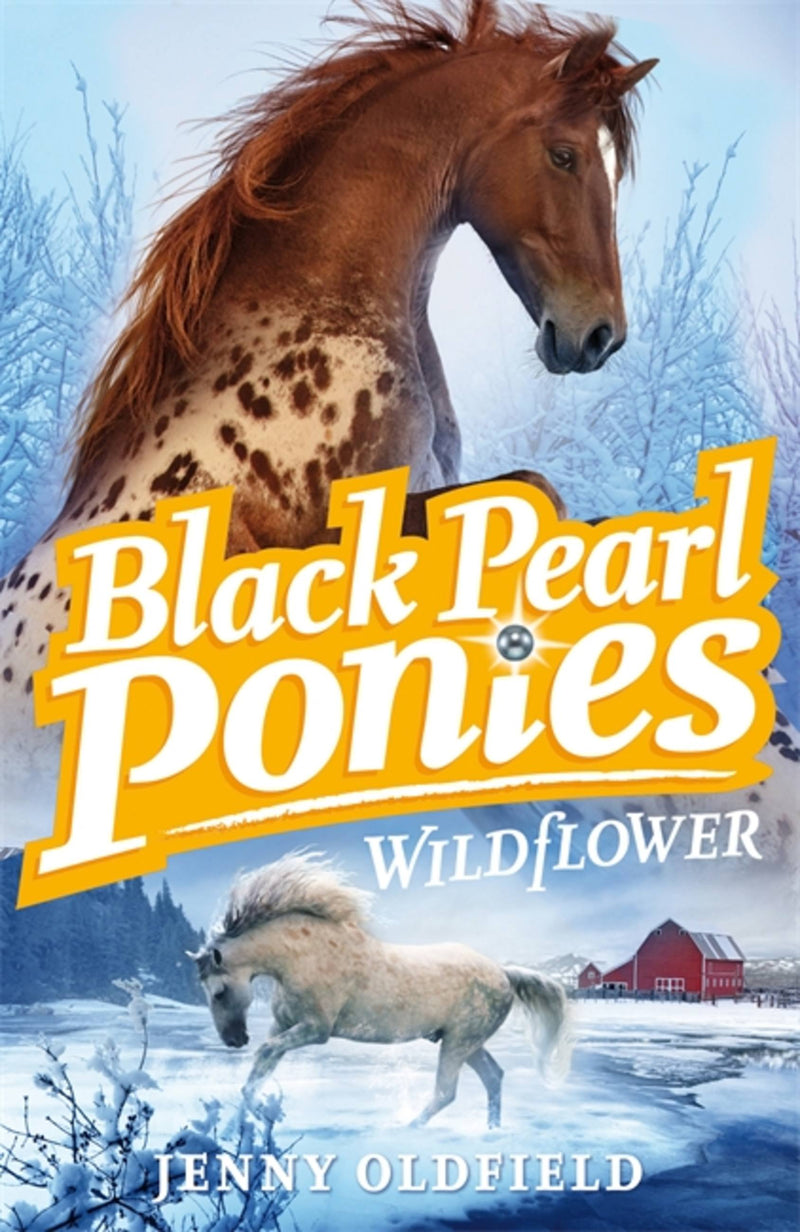 Black Pearl Ponies 02