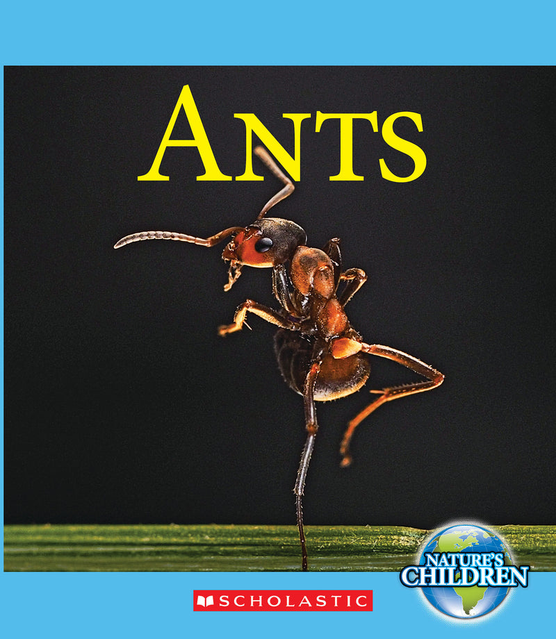 Ants (Nature's Children)