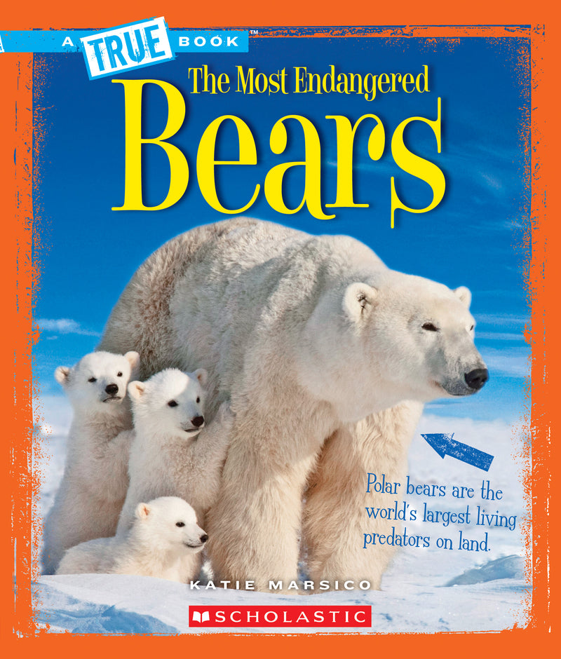 Bears (True Book: Most Endangered)