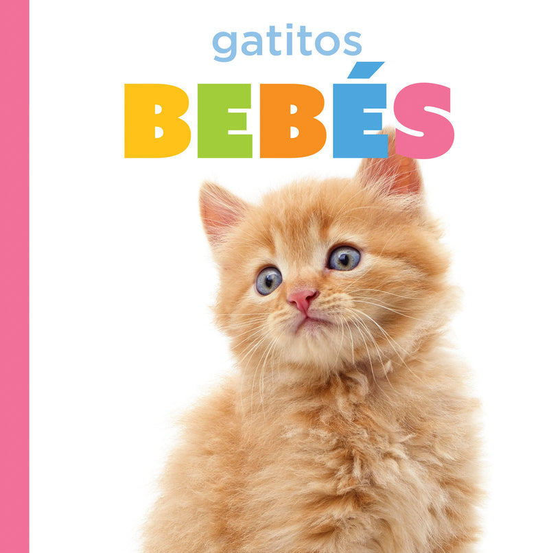 Gatitos bebés