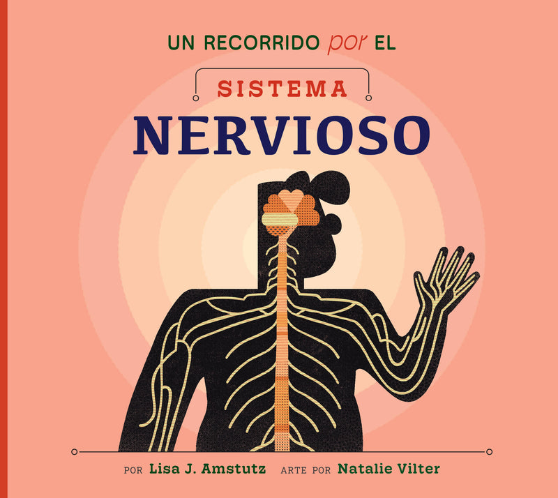 Un recorrido por el sistema nervioso