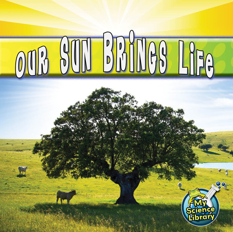 Aaron Judge: Home Run Hero