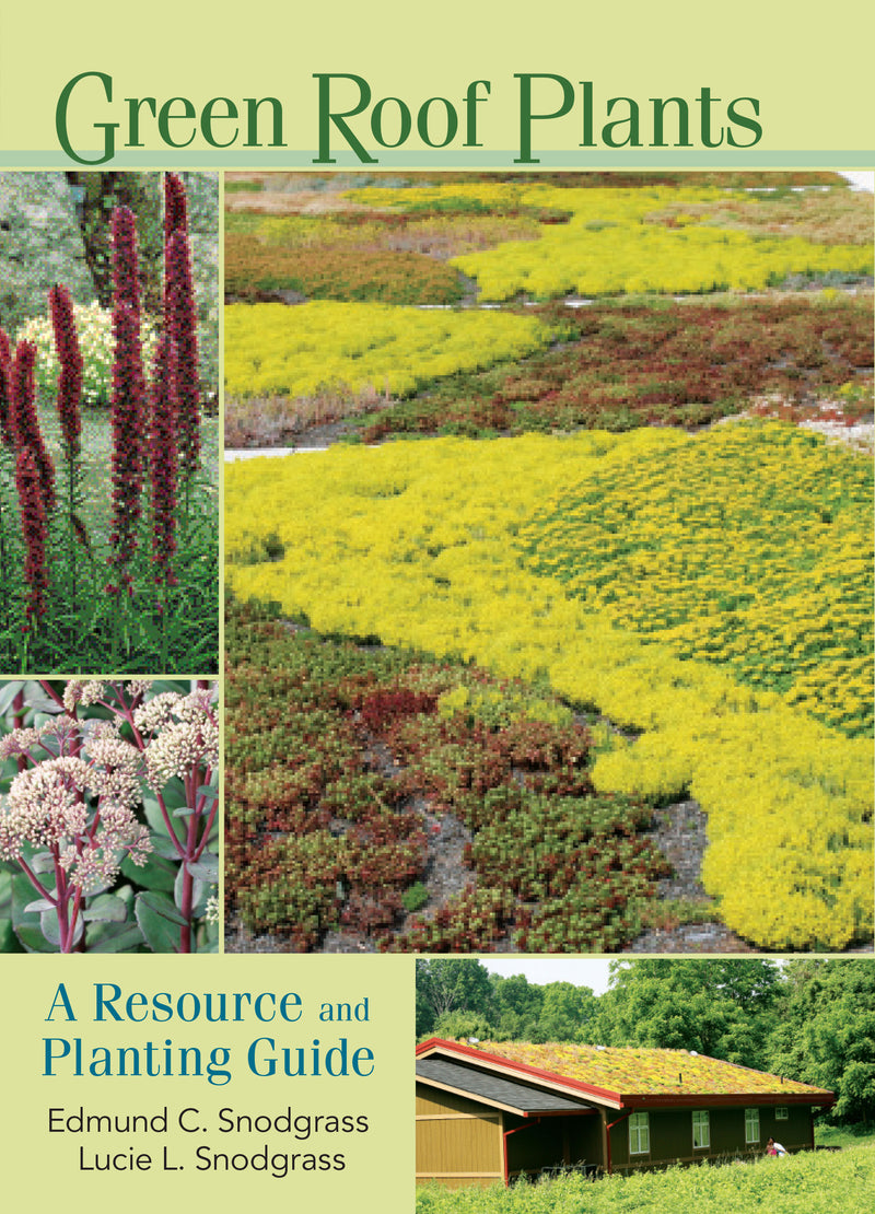 Green Roof Plants