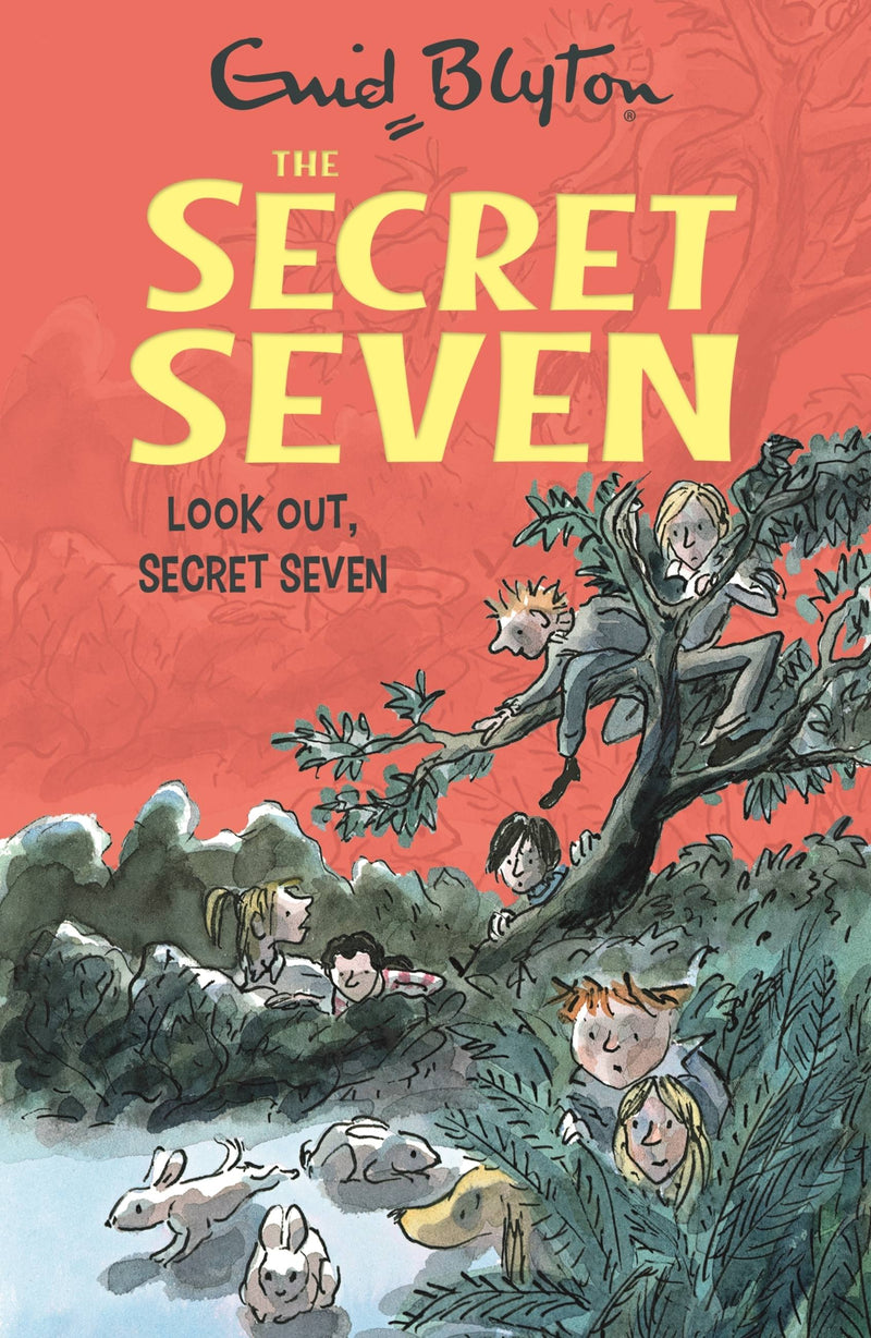 The Secret Seven 14