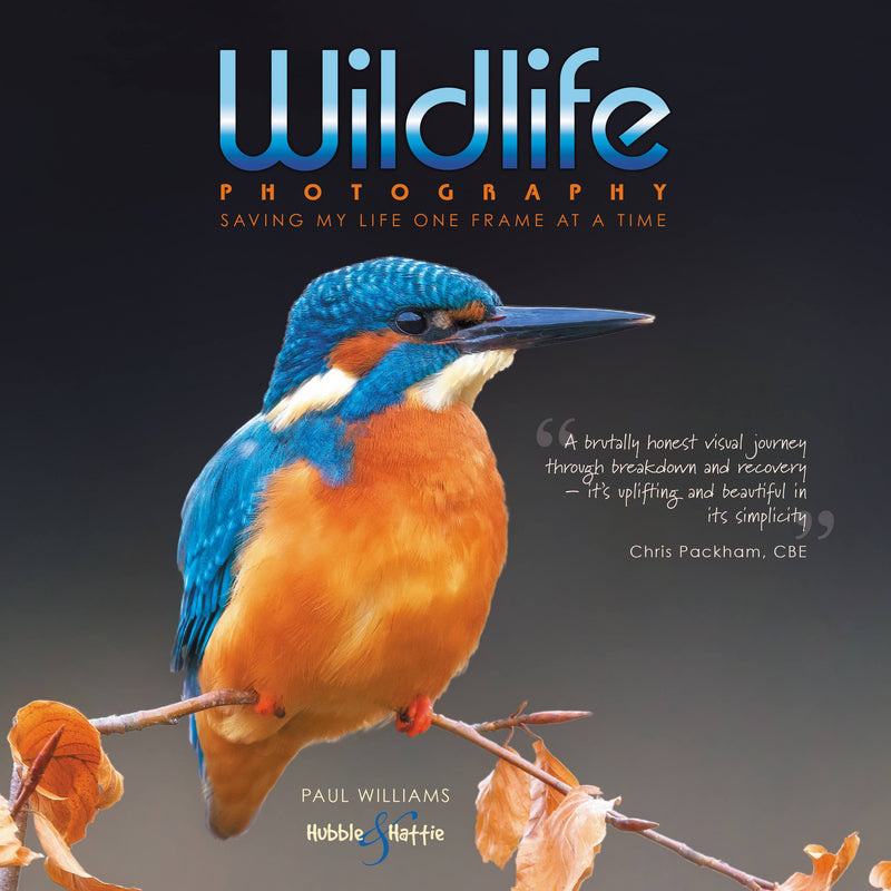 Wildlife Photography