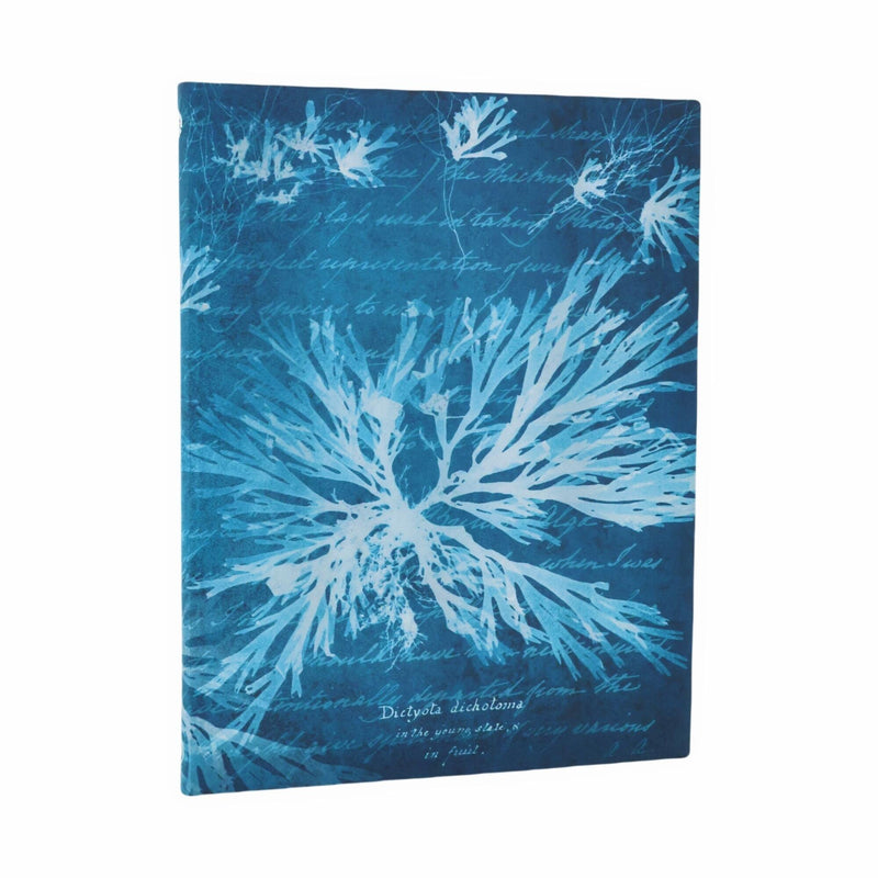 Sea Flowers Ultra Unlined Softcover Journal, 176pg, 100GSM, Treasures of The New York Public Library by Paperblanks (Anna Atkins' Cyanotypes)