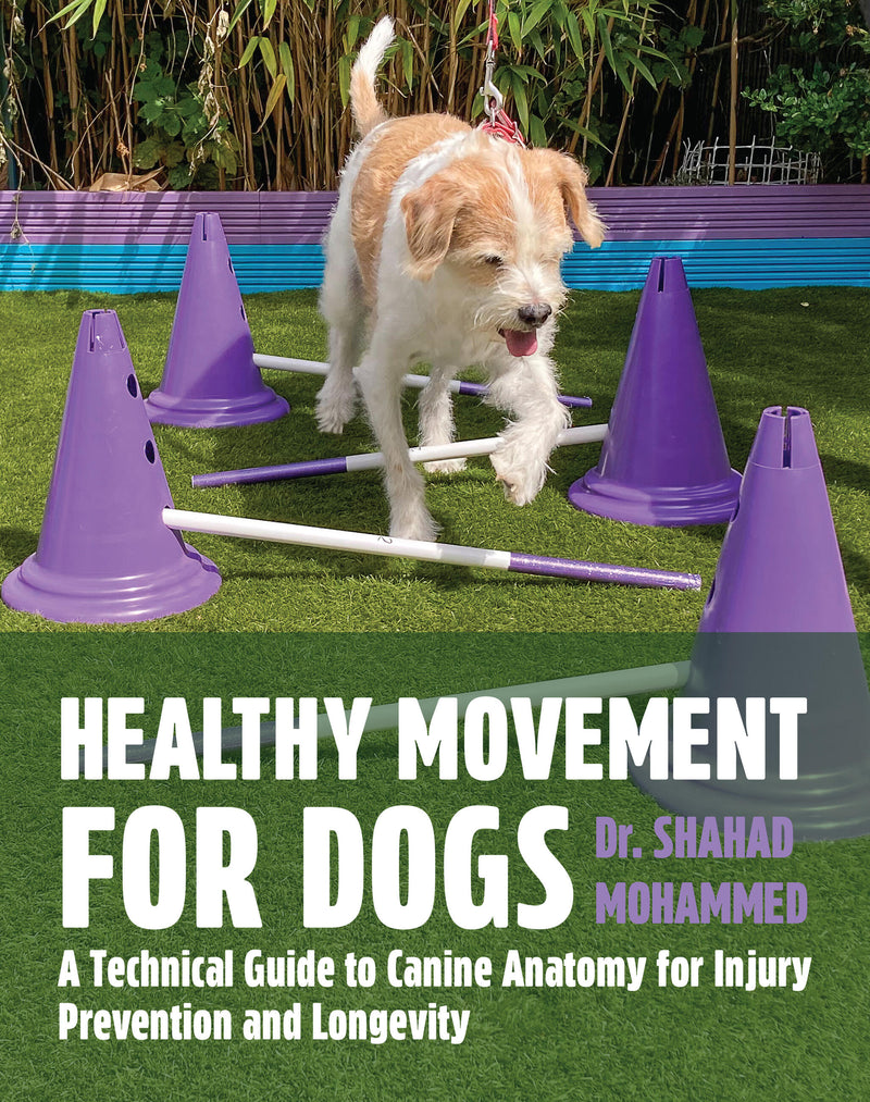 Core Matters in Canines