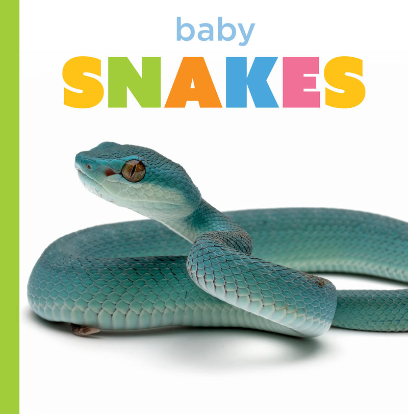 Baby Snakes