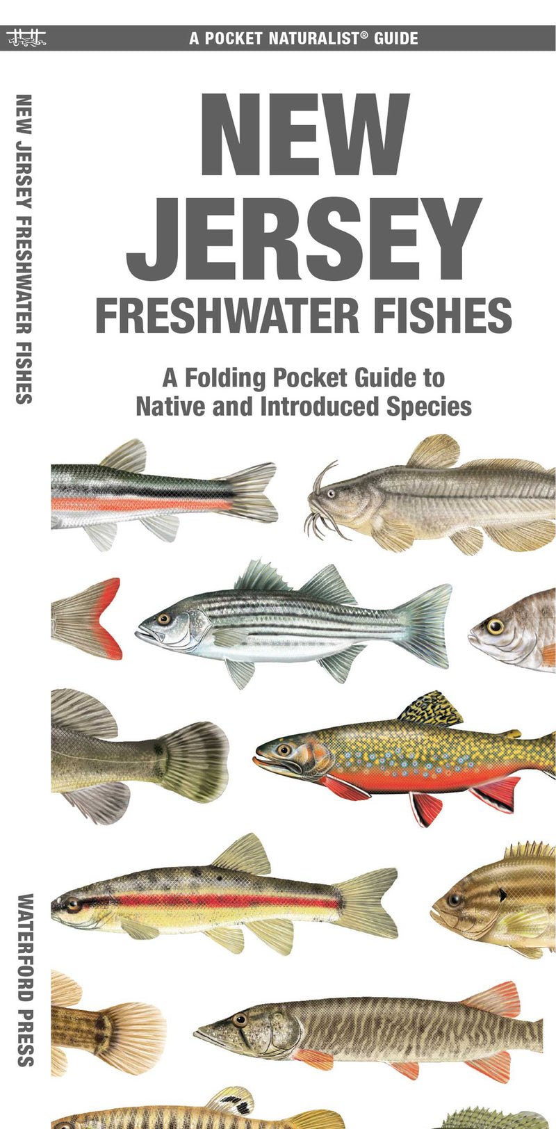New Jersey Freshwater Fishes