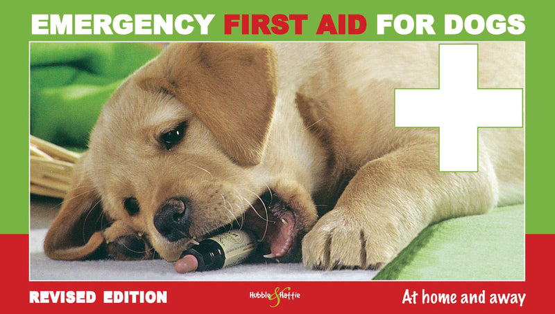 Emergency First Aid for Dogs