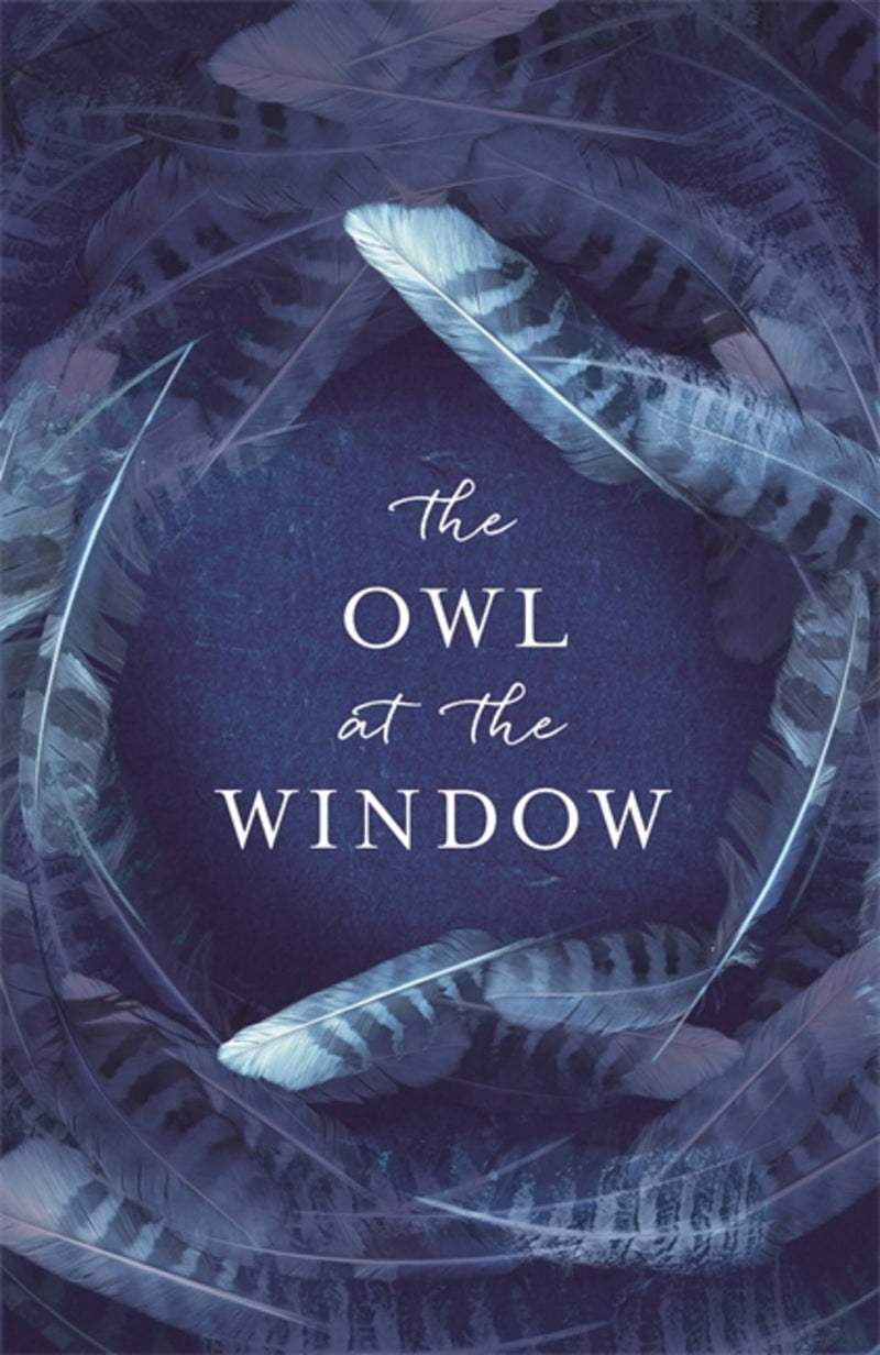 The Owl at the Window