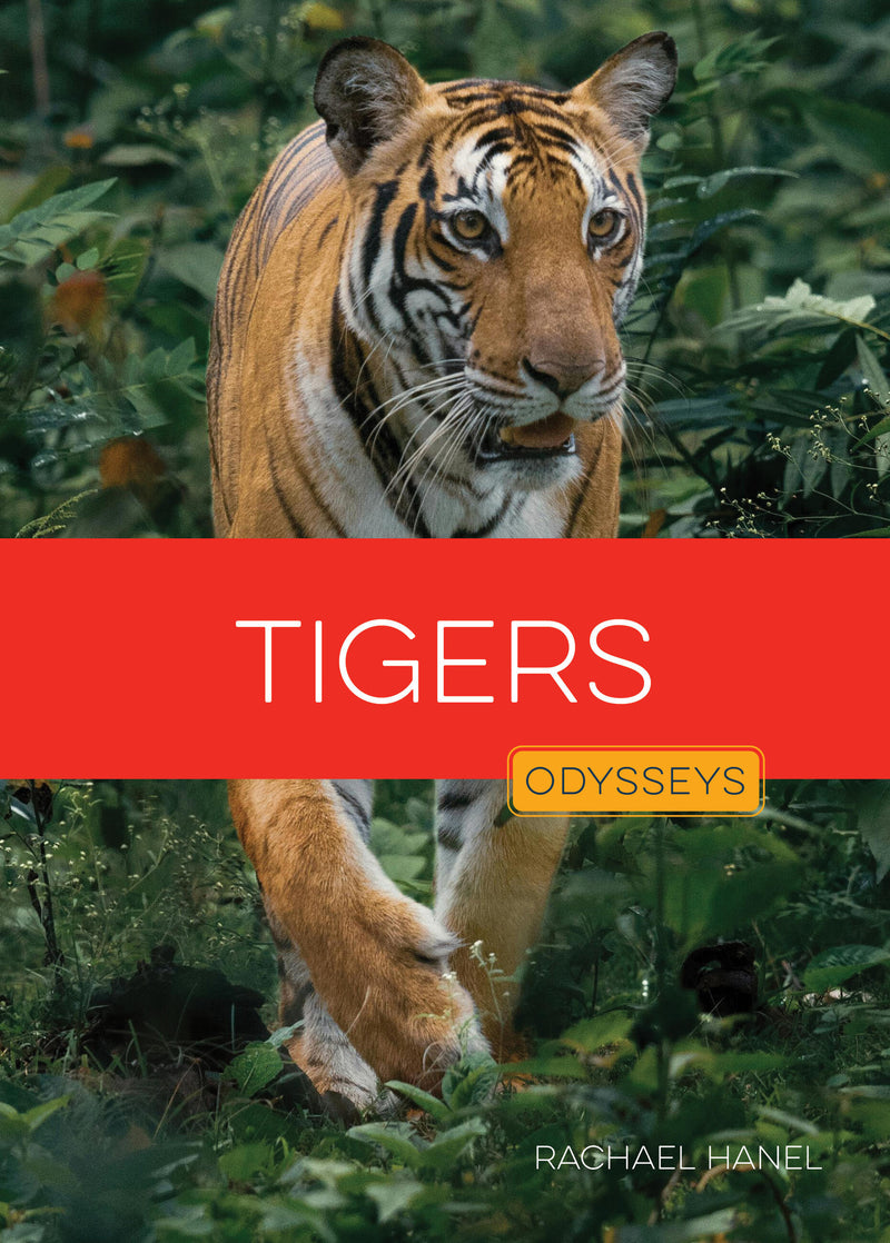 Tigers
