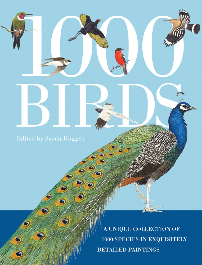 1,000 Birds