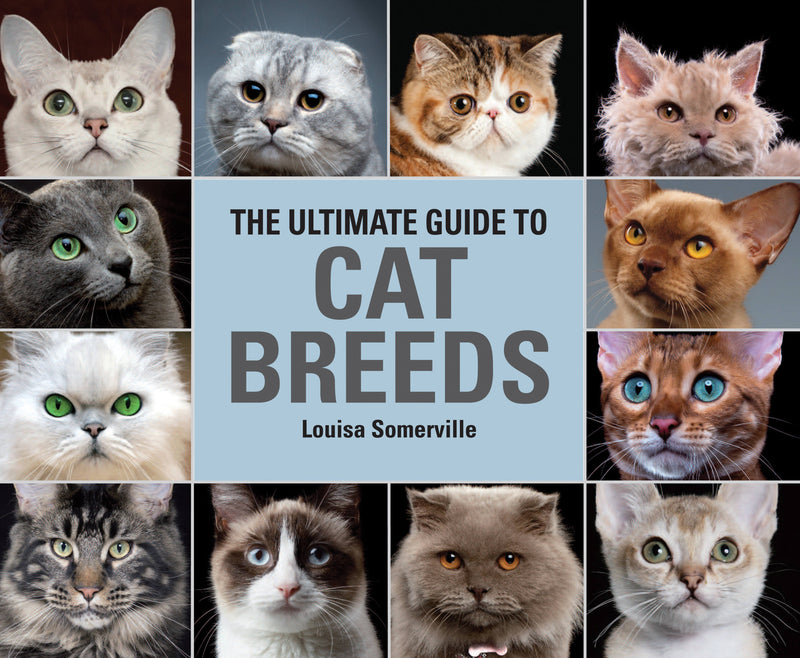 The Ultimate Guide To Cat Breeds