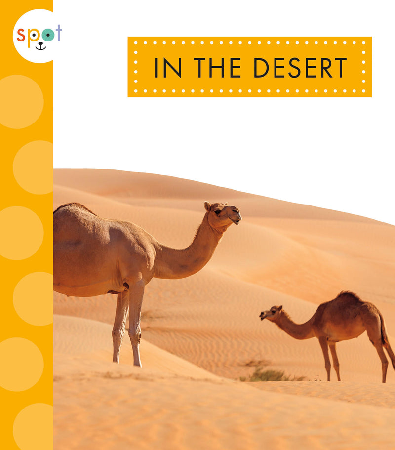 In the Desert