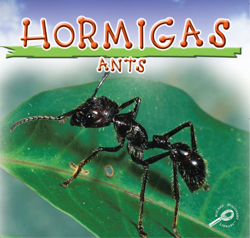 Hormigas: Ants