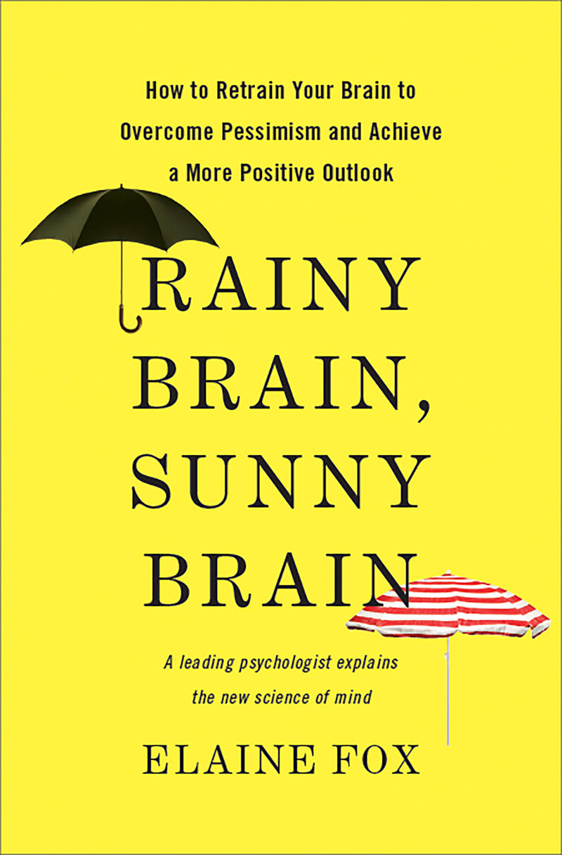 Rainy Brain, Sunny Brain