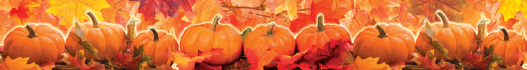 Pumpkin Patch Scalloped Trimmer