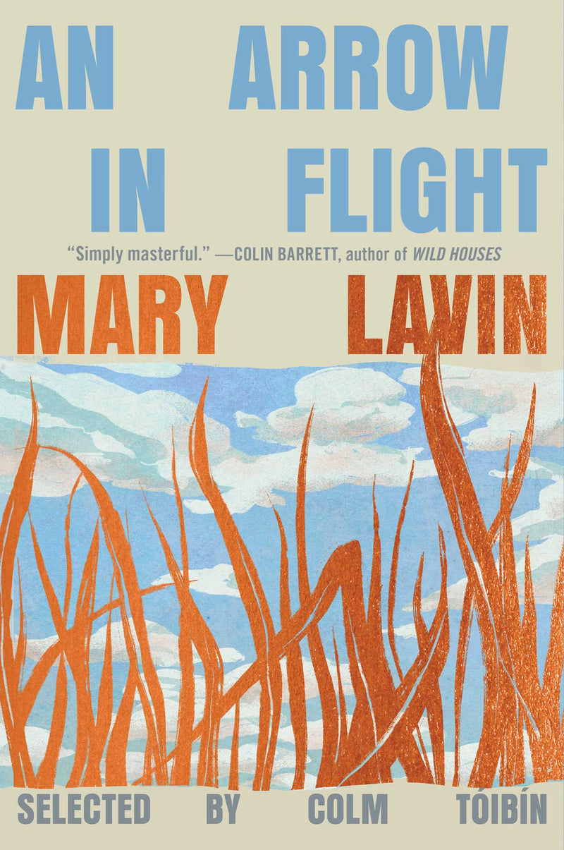 An Arrow in Flight