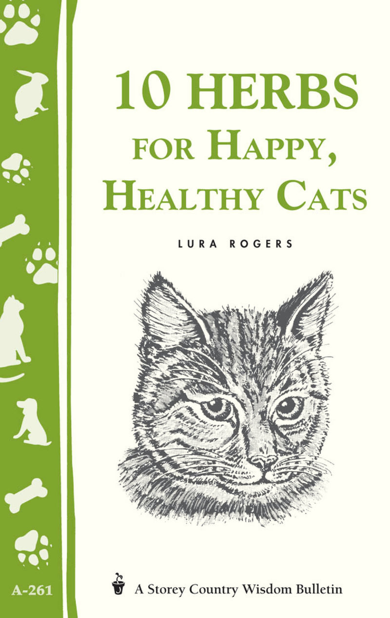 10 Herbs for Happy, Healthy Cats