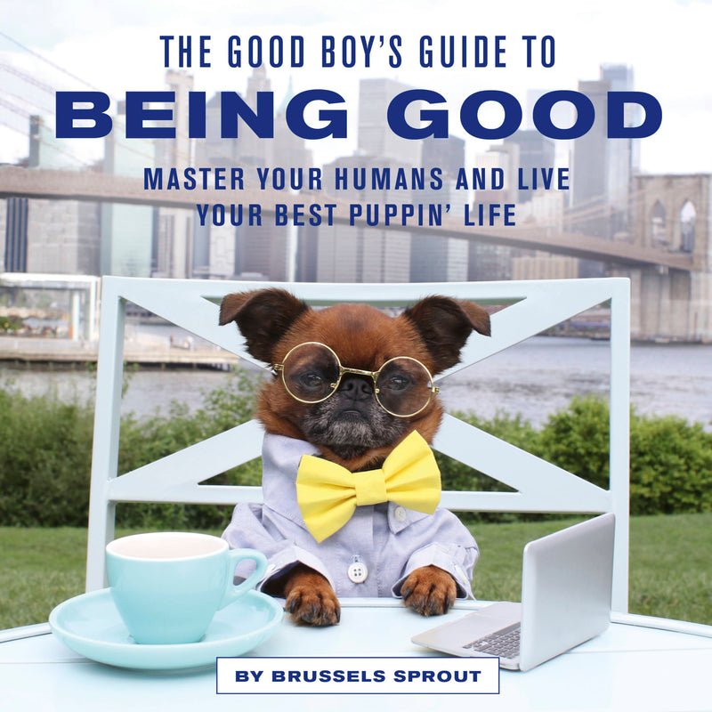 The Good Boy's Guide to Being Good