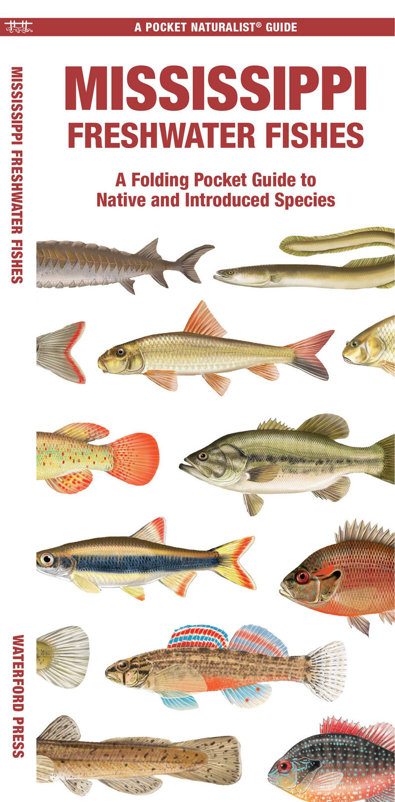 Mississippi Freshwater Fishes